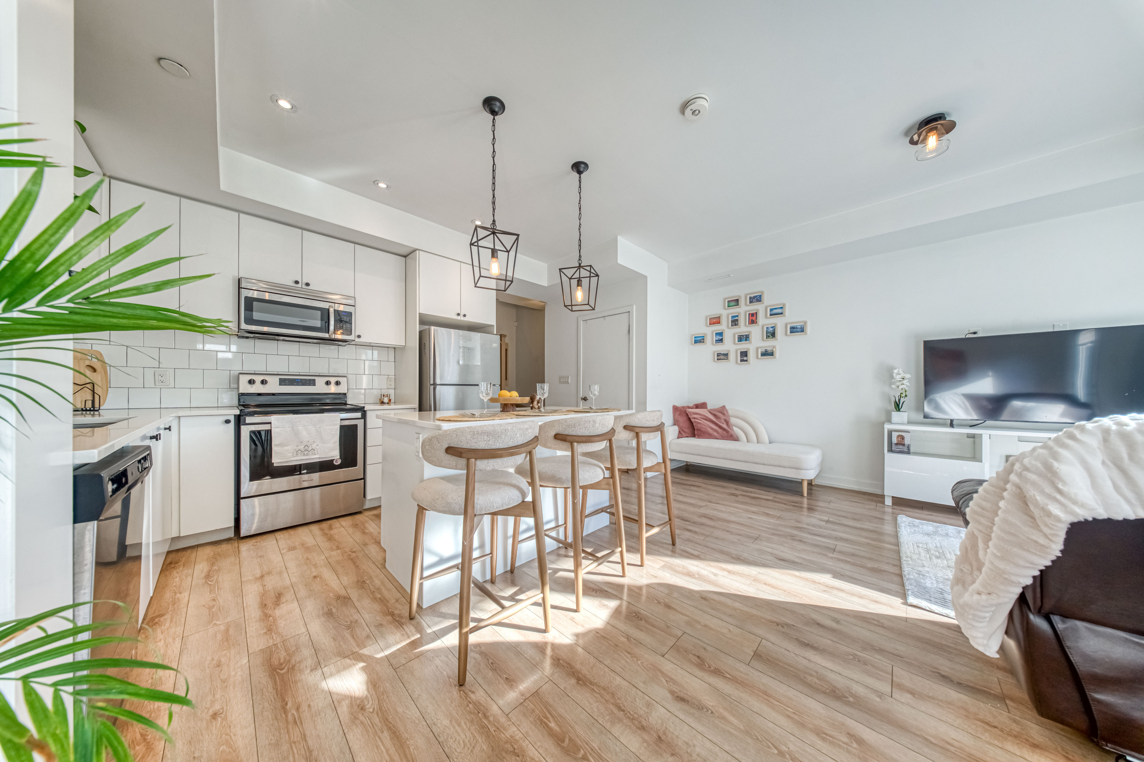 Main Living Space
